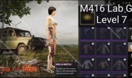 新款m4皮肤爆料视频,揭秘爆料视频中的神秘魅力